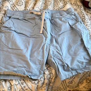 Goodfellow & Co Light Blue Men's Flat Front Shorts